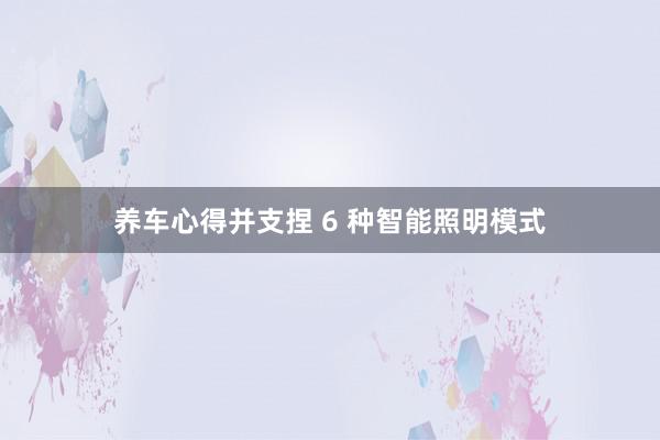 养车心得并支捏 6 种智能照明模式