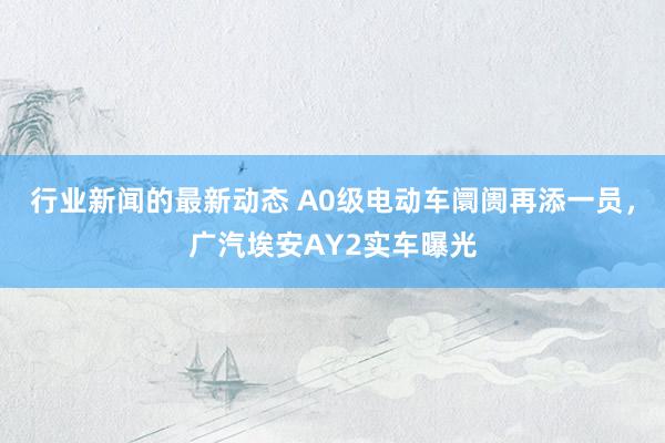 行业新闻的最新动态 A0级电动车阛阓再添一员，广汽埃安AY2实车曝光