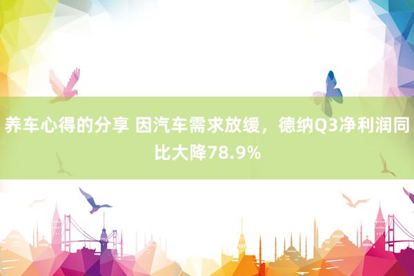 养车心得的分享 因汽车需求放缓，德纳Q3净利润同比大降78.9%