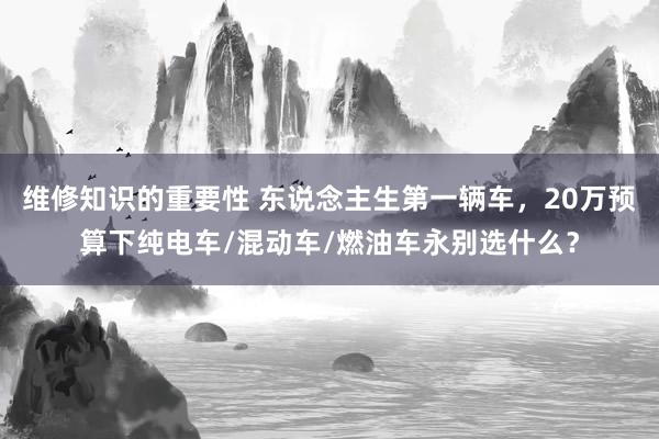 维修知识的重要性 东说念主生第一辆车，20万预算下纯电车/混动车/燃油车永别选什么？