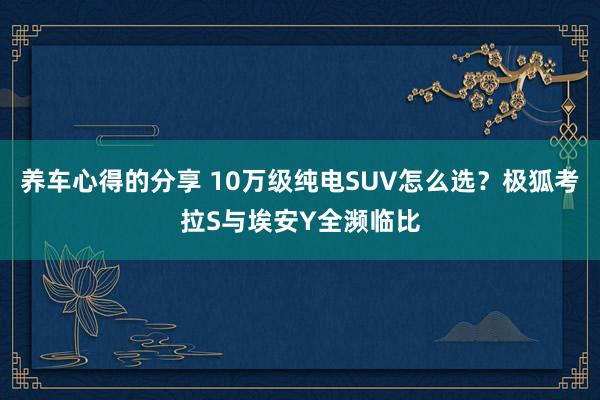 养车心得的分享 10万级纯电SUV怎么选？极狐考拉S与埃安Y全濒临比