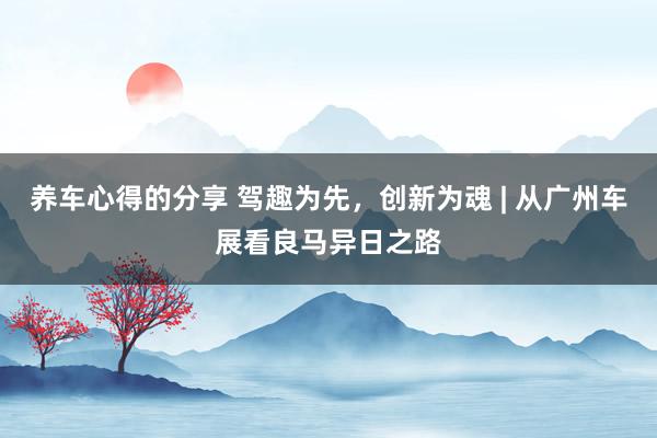 养车心得的分享 驾趣为先，创新为魂 | 从广州车展看良马异日之路