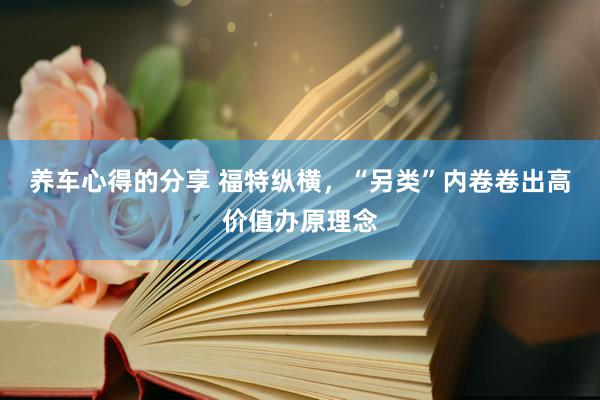 养车心得的分享 福特纵横，“另类”内卷卷出高价值办原理念