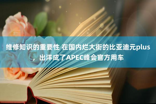 维修知识的重要性 在国内烂大街的比亚迪元plus，出洋成了APEC峰会官方用车