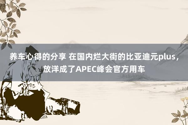 养车心得的分享 在国内烂大街的比亚迪元plus，放洋成了APEC峰会官方用车