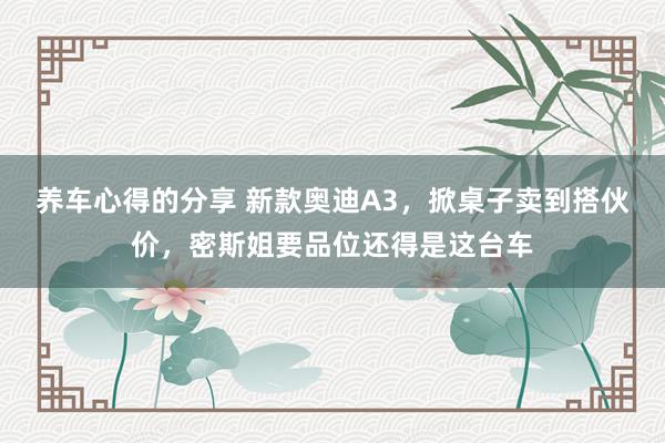 养车心得的分享 新款奥迪A3，掀桌子卖到搭伙价，密斯姐要品位还得是这台车