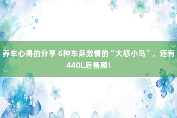 养车心得的分享 6种车身激情的“大怒小鸟”，还有440L后备厢！