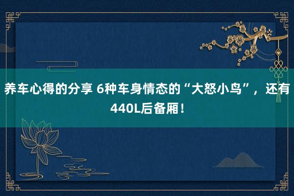 养车心得的分享 6种车身情态的“大怒小鸟”，还有440L后备厢！