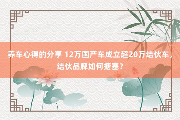 养车心得的分享 12万国产车成立超20万结伙车，结伙品牌如何搪塞？