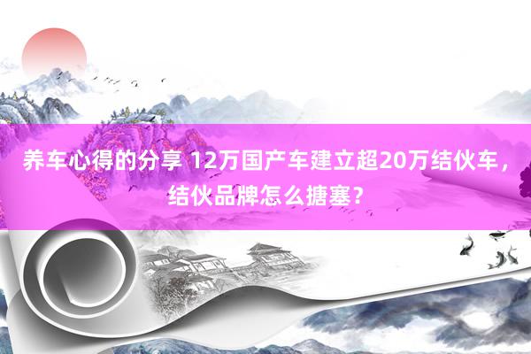 养车心得的分享 12万国产车建立超20万结伙车，结伙品牌怎么搪塞？