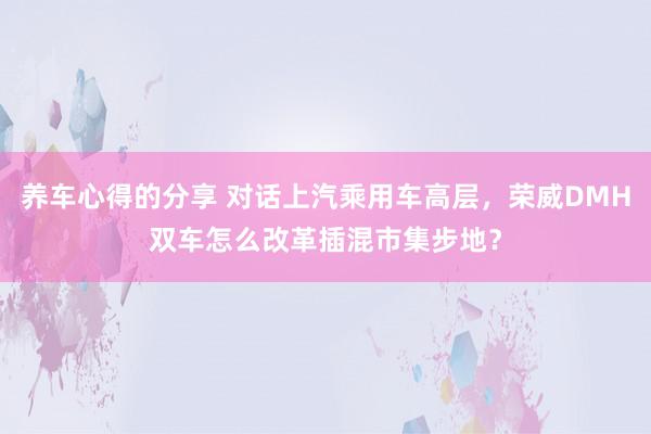 养车心得的分享 对话上汽乘用车高层，荣威DMH双车怎么改革插混市集步地？