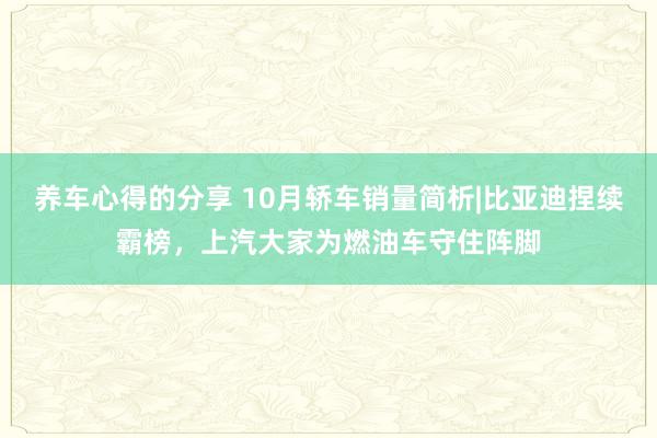 养车心得的分享 10月轿车销量简析|比亚迪捏续霸榜，上汽大家为燃油车守住阵脚