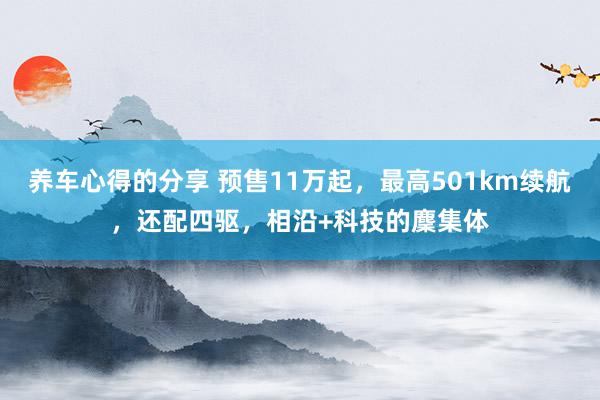 养车心得的分享 预售11万起，最高501km续航，还配四驱，相沿+科技的麇集体