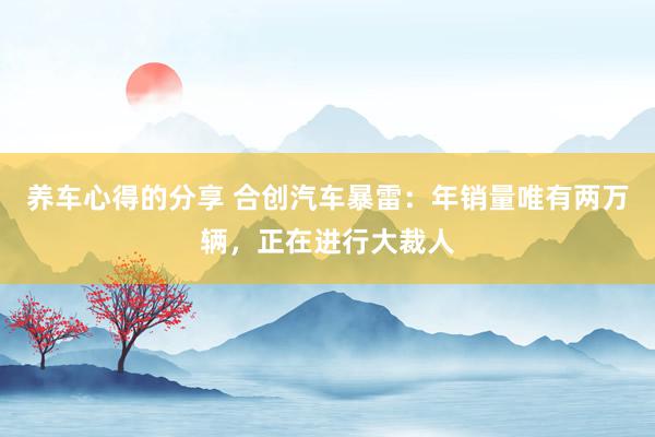 养车心得的分享 合创汽车暴雷：年销量唯有两万辆，正在进行大裁人