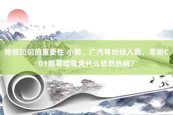 维修知识的重要性 小鹏、广汽等纷纷入局，零跑C01超等增程凭什么依然热销？