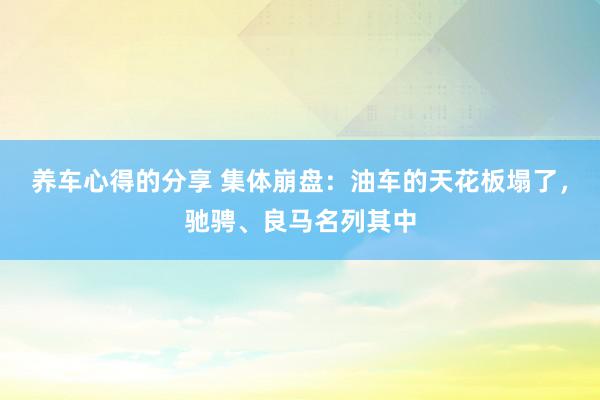 养车心得的分享 集体崩盘：油车的天花板塌了，驰骋、良马名列其中