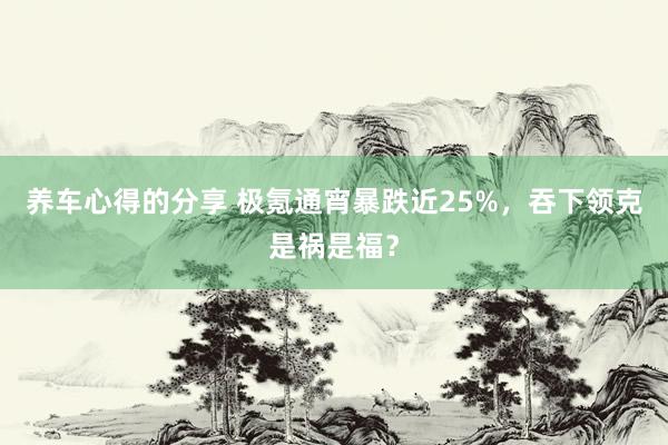 养车心得的分享 极氪通宵暴跌近25%，吞下领克是祸是福？