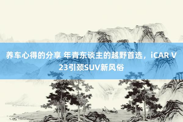 养车心得的分享 年青东谈主的越野首选，iCAR V23引颈SUV新风俗