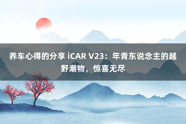 养车心得的分享 iCAR V23：年青东说念主的越野潮物，惊喜无尽