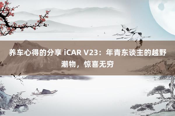 养车心得的分享 iCAR V23：年青东谈主的越野潮物，惊喜无穷