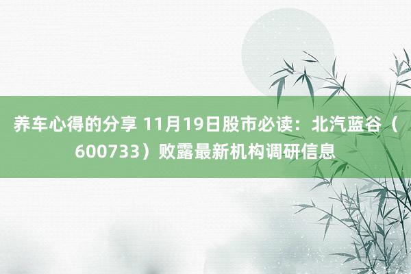 养车心得的分享 11月19日股市必读：北汽蓝谷（600733）败露最新机构调研信息