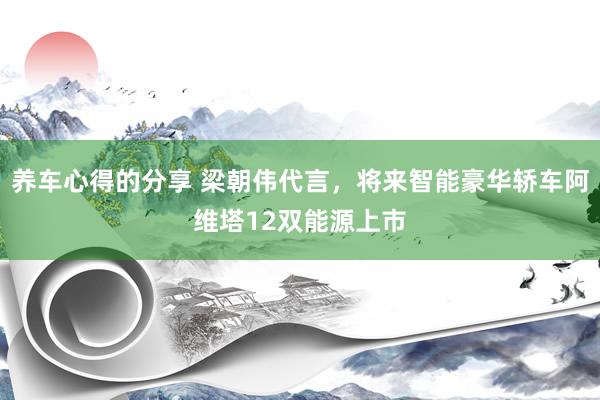 养车心得的分享 梁朝伟代言，将来智能豪华轿车阿维塔12双能源上市