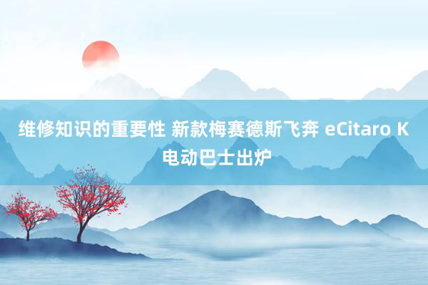 维修知识的重要性 新款梅赛德斯飞奔 eCitaro K 电动巴士出炉