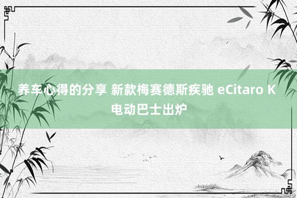 养车心得的分享 新款梅赛德斯疾驰 eCitaro K 电动巴士出炉