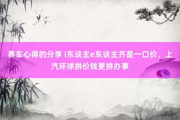 养车心得的分享 i东谈主e东谈主齐是一口价，上汽环球拼价钱更拼办事