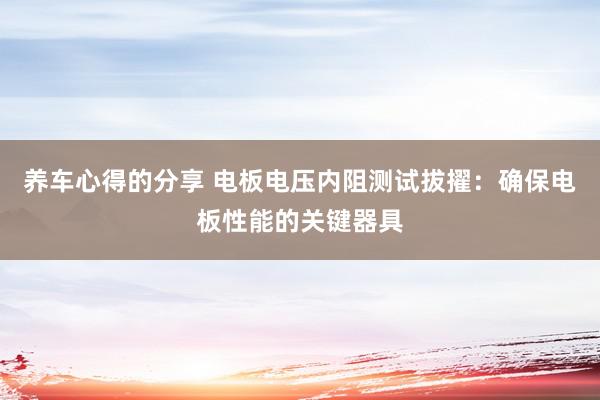 养车心得的分享 电板电压内阻测试拔擢：确保电板性能的关键器具