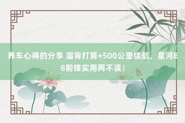 养车心得的分享 溜背打算+500公里续航，星河E8前锋实用两不误！