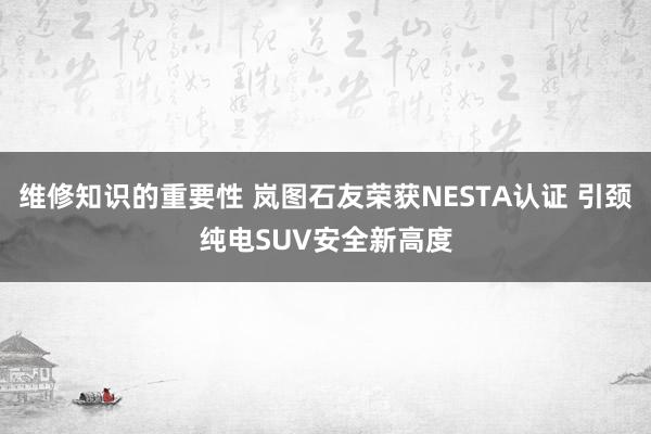 维修知识的重要性 岚图石友荣获NESTA认证 引颈纯电SUV安全新高度