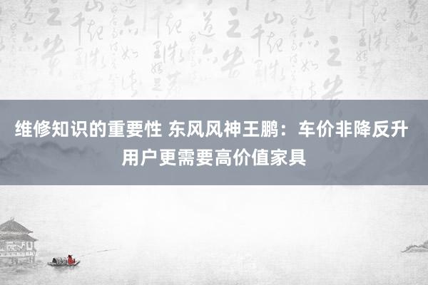 维修知识的重要性 东风风神王鹏：车价非降反升 用户更需要高价值家具