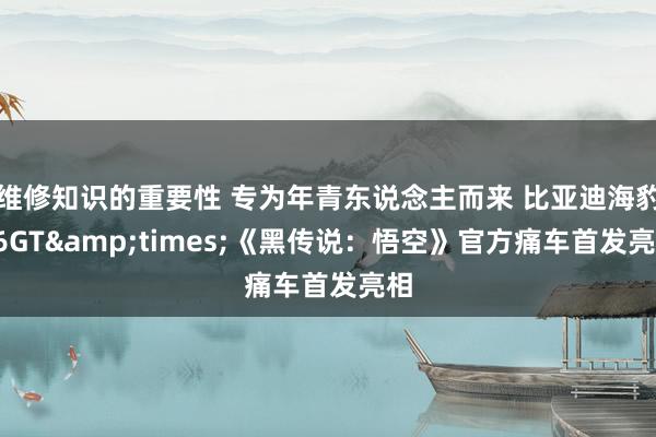 维修知识的重要性 专为年青东说念主而来 比亚迪海豹06GT&times;《黑传说：悟空》官方痛车首发亮相