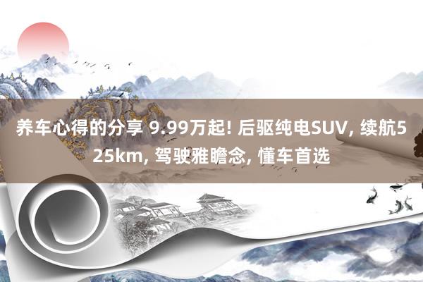 养车心得的分享 9.99万起! 后驱纯电SUV, 续航525km, 驾驶雅瞻念, 懂车首选