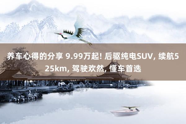 养车心得的分享 9.99万起! 后驱纯电SUV, 续航525km, 驾驶欢然, 懂车首选