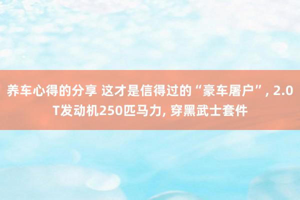 养车心得的分享 这才是信得过的“豪车屠户”, 2.0T发动机250匹马力, 穿黑武士套件