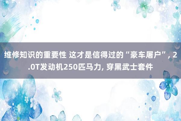 维修知识的重要性 这才是信得过的“豪车屠户”, 2.0T发动机250匹马力, 穿黑武士套件