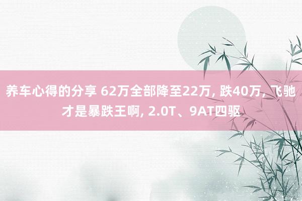 养车心得的分享 62万全部降至22万, 跌40万, 飞驰才是暴跌王啊, 2.0T、9AT四驱