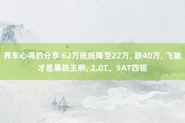 养车心得的分享 62万统统降至22万, 跌40万, 飞驰才是暴跌王啊, 2.0T、9AT四驱