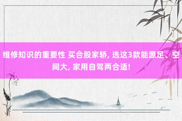 维修知识的重要性 买合股家轿, 选这3款能源足、空间大, 家用自驾两合适!