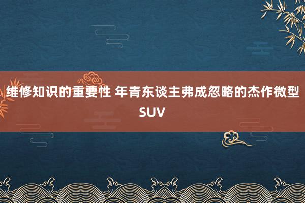 维修知识的重要性 年青东谈主弗成忽略的杰作微型SUV