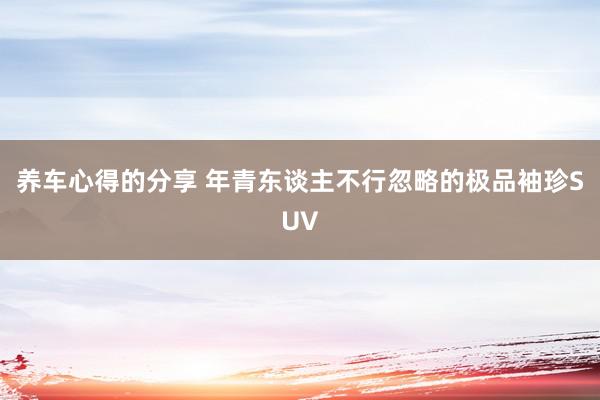 养车心得的分享 年青东谈主不行忽略的极品袖珍SUV