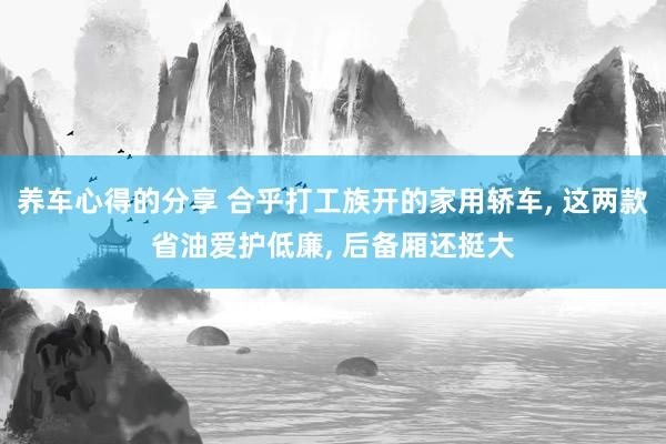 养车心得的分享 合乎打工族开的家用轿车, 这两款省油爱护低廉, 后备厢还挺大