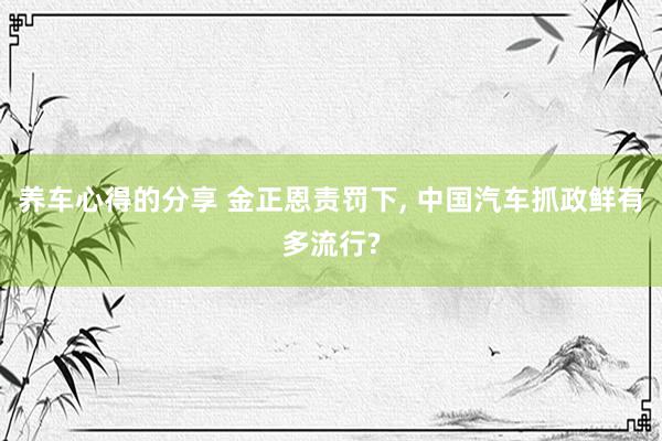 养车心得的分享 金正恩责罚下, 中国汽车抓政鲜有多流行?