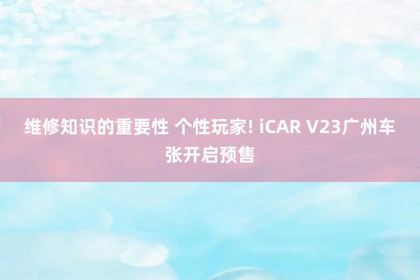 维修知识的重要性 个性玩家! iCAR V23广州车张开启预售