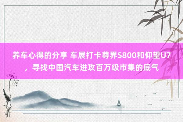 养车心得的分享 车展打卡尊界S800和仰望U7，寻找中国汽车进攻百万级市集的底气