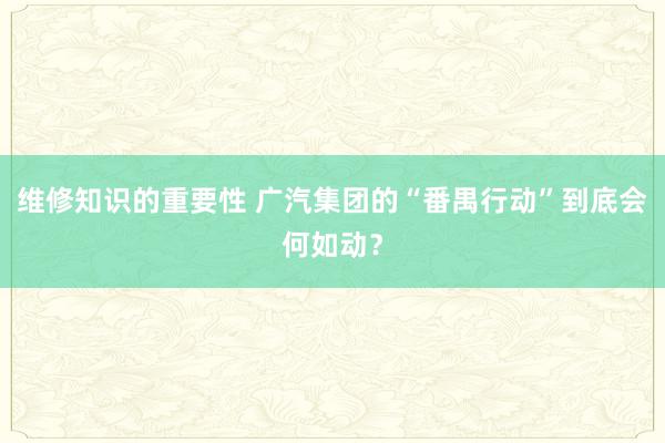 维修知识的重要性 广汽集团的“番禺行动”到底会何如动？