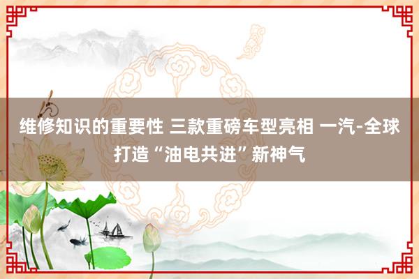 维修知识的重要性 三款重磅车型亮相 一汽-全球打造“油电共进”新神气