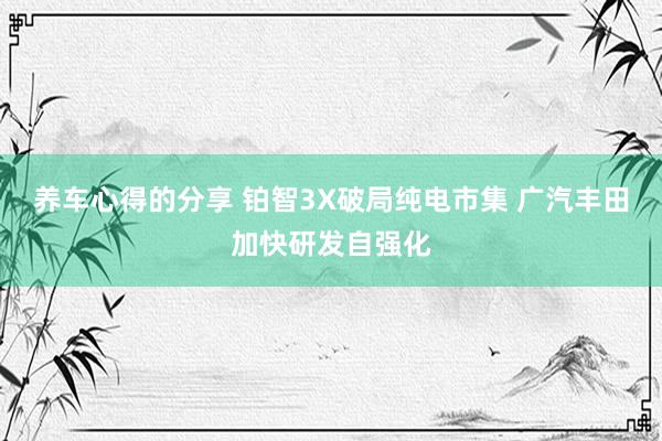 养车心得的分享 铂智3X破局纯电市集 广汽丰田加快研发自强化